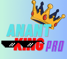 Blogger Anant